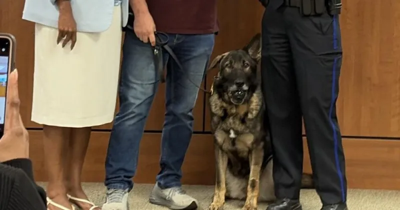 Florence City Council celebrates and recognizes police K-9 retirement