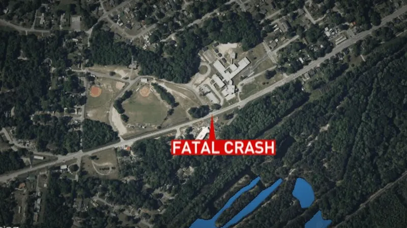 Pedestrian identified after fatal crash