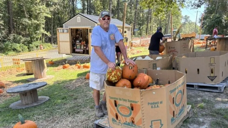 Pumpkin season begins in the Lowcountry as Summerville patch sees early demand