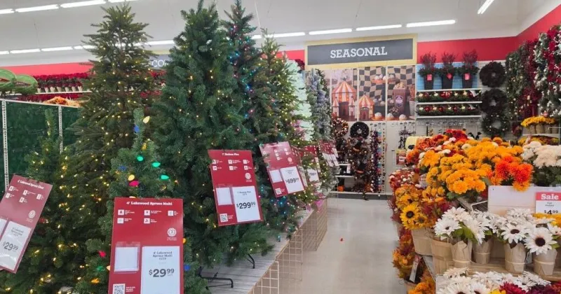 We asked when you should start decorating for the holidays. Here's what SC residents said.