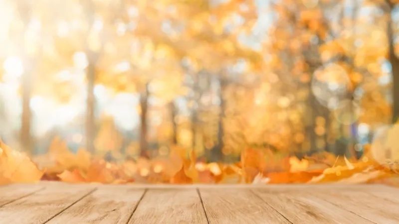 Last week of September feeling more like fall