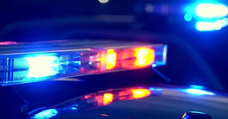 UPDATE: Coroner identifies men shot, killed near Bamberg