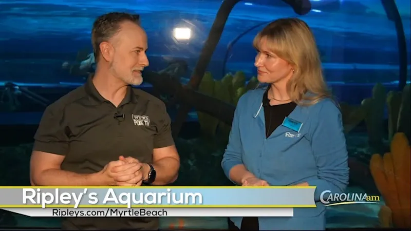 Ripley's Aquarium is Celebrating Their Carolina Deal This Weekend