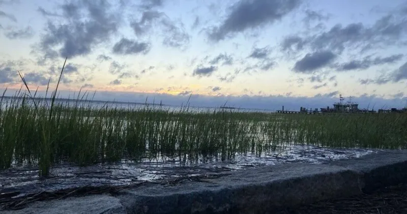 Charleston, SC, coast to see winds, flooding, rip tides from East Coast nor'easter during king tides