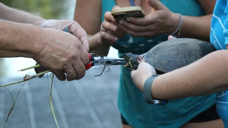 Volunteers remove more than 1,600 pieces of litter from Ashley River during River Sweep