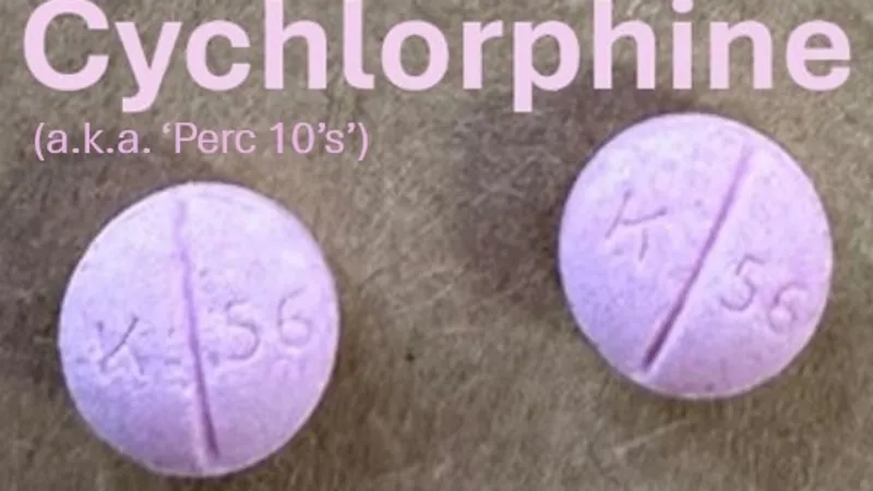 SC Attorney General warns about illicit drugs after college campus overdose deaths