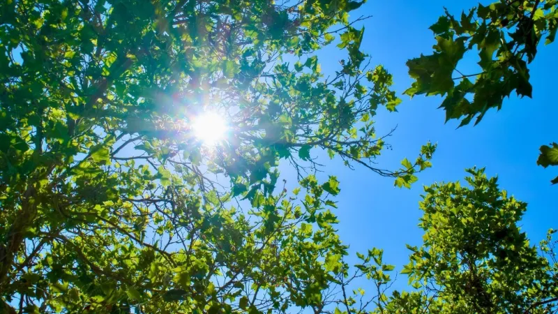 Picture perfect weekend forecast!