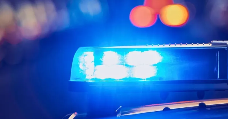 Rural Upstate SC county hit by crime wave of horse and goat killings
