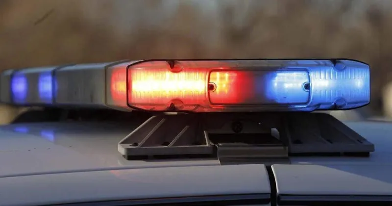 Abducted college student released in Myrtle Beach after multi-state police chase