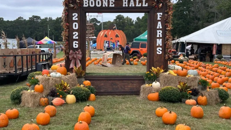 PHOTOS: Boone Hall Pumpkin Patch celebrates 30 years, kicks off season with ribbon cutting