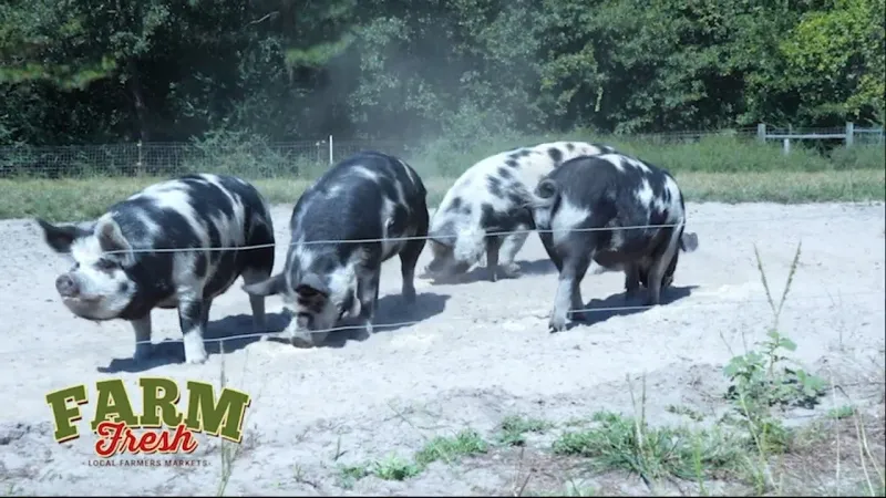 Get to Know Fox Farm -- A Local Farmers Market Vendor
