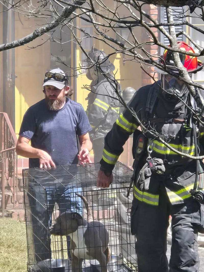 Columbia firefighters rescue dog from Monday afternoon fire