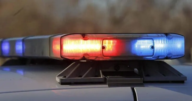 Dillon man accused of killing, stealing from Florence grandmother