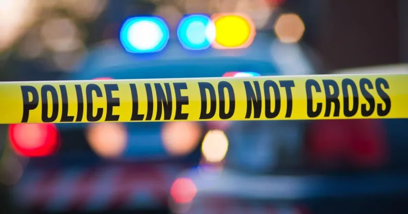 Man pleads guilty in James Island DUI crash that left another permanently injured