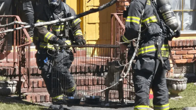 Fire crews rescue dog in garage fire