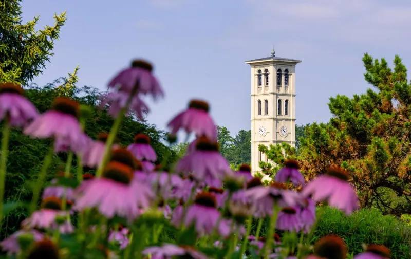 Furman faculty, alumni pay tribute to Judy Bainbridge in The Post and Courier