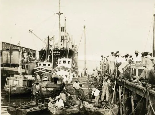 Harbor Heritage: How Charleston's Mosquito Fleet Brought Fresh Catches to Market