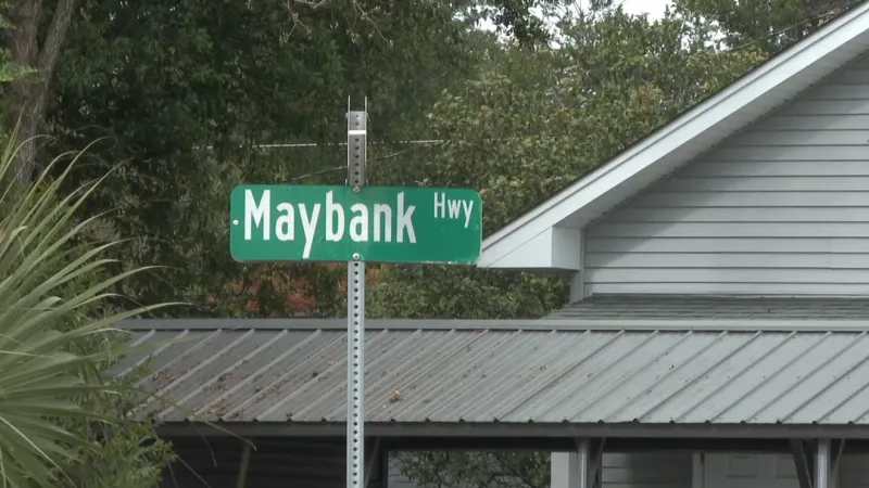 Nine grand live oaks near the Stono River to be removed for Maybank Highway project