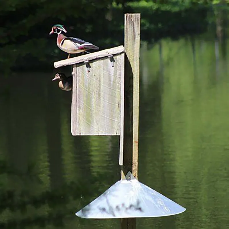 Wood Duck Box Program application is available through Oct. 31