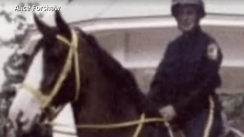 Moonshine's Hampton Park grave found and marked decades after police horse's death