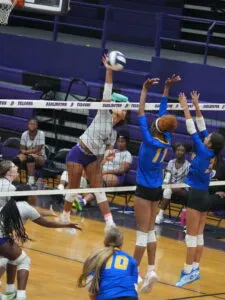 Lady Falcons prevail against Loris Lionesses