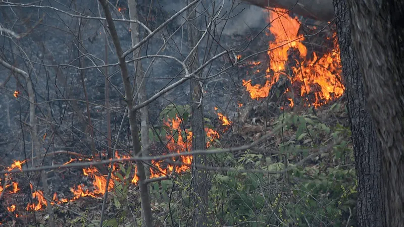 Helene debris 'still a factor' in NC wildfire risk, official says