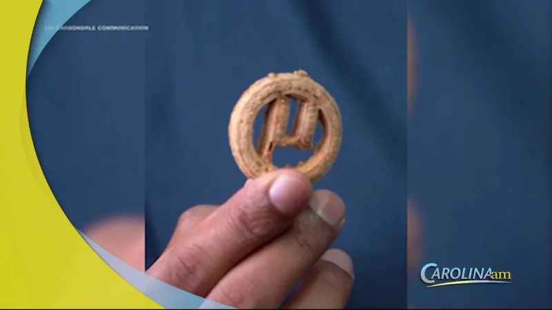 Scientists Turned Plastic into Cookies