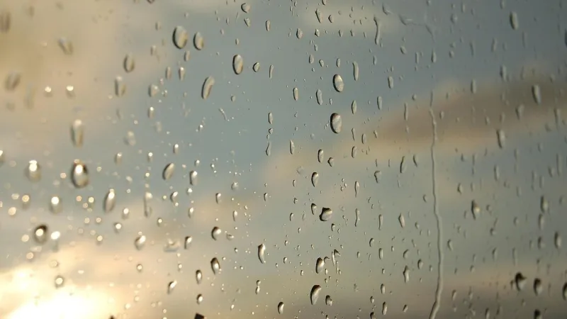 Light rain showers come to an end this morning