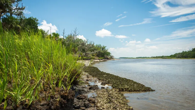 SCDES temporarily closes shellfish harvesting areas in Charleston County after heavy rain