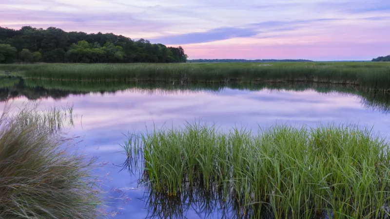 Colleton County settles lawsuit, creating exclusion zone for data centers in ACE Basin