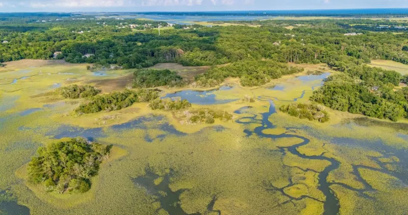 Kiawah Island buys land near town hall to preserve with local conservancy group