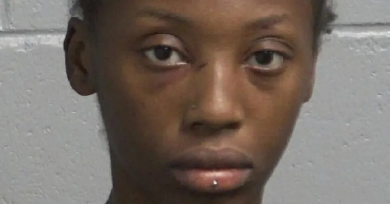 Santee woman accused of hit-and-run resulting in great bodily injury