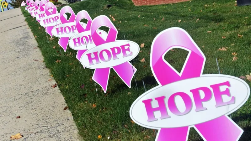 Early detection remains key as South Carolina marks Breast Cancer Awareness Month