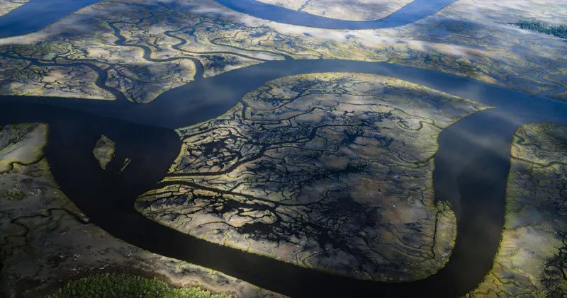 Settlement protects ACE Basin from data centers. Plus, what could Isaias' impact be on SC?