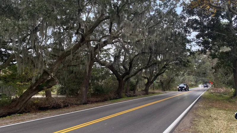 Charleston leaders to hear request to remove 25 grand trees for West Ashley project