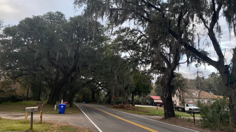 Charleston board approves removal of 25 grand trees for West Ashley housing project