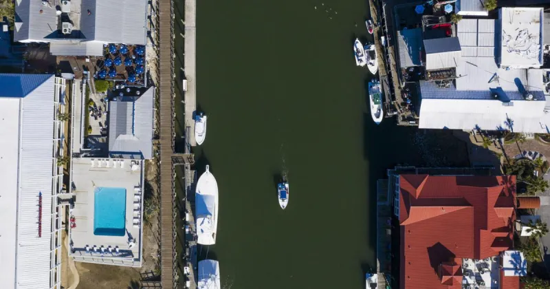 Mount Pleasant eyeing stronger regulations for charter boats to curb unlicensed operators