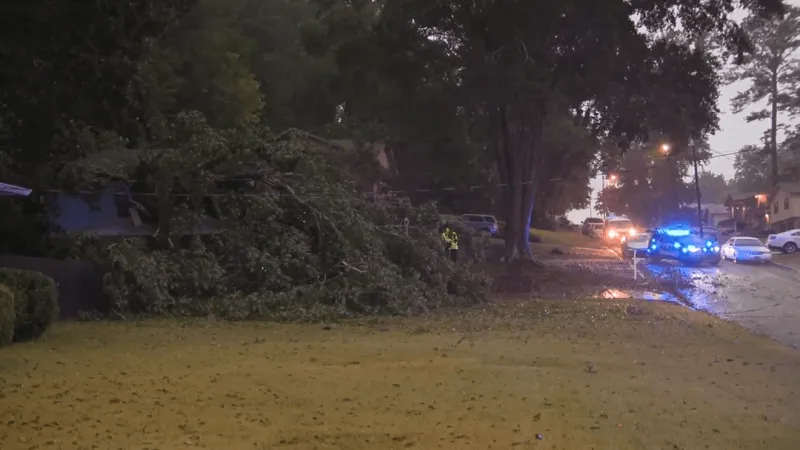 One Dead After Tree Falls on House Along Monterey Drive in East Birmingham