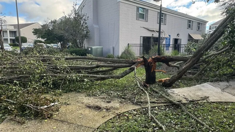 PHOTOS: Hurricane Isaias causes damage across Northwest Florida, Southwest Alabama