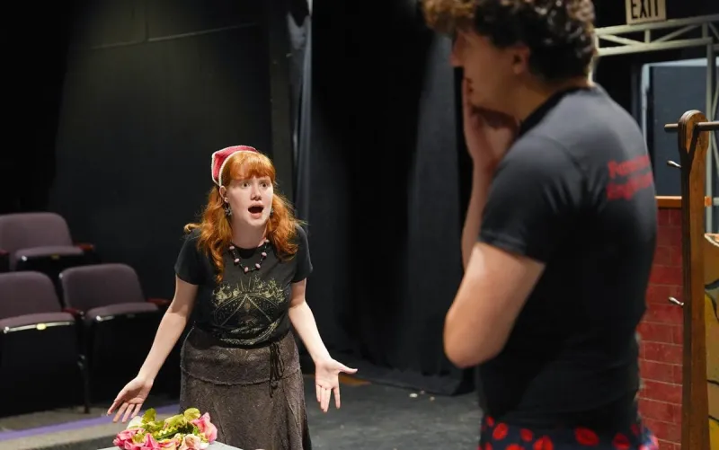 'Theatre/Theater' by Randall David Cook gets promo in Greenville Journal, Post and Courier