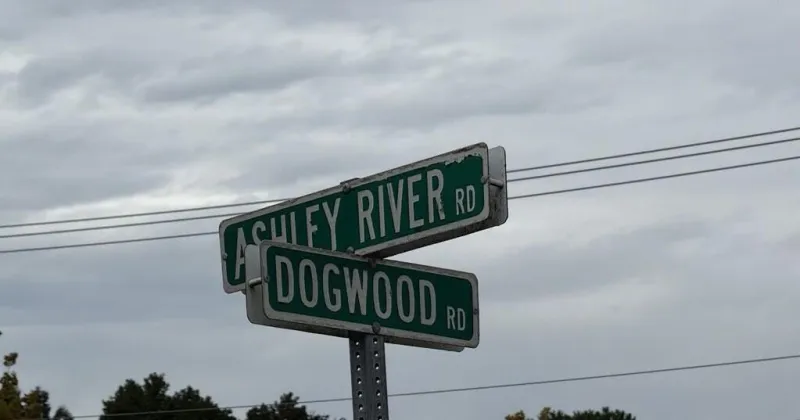 Charleston board OKs request to remove 25 trees in West Ashley for affordable housing