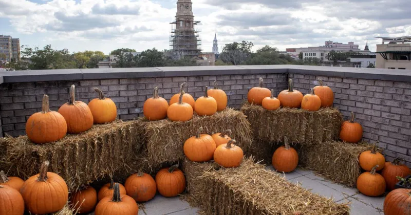 Scene Calendar: Charleston area events Oct. 15-21