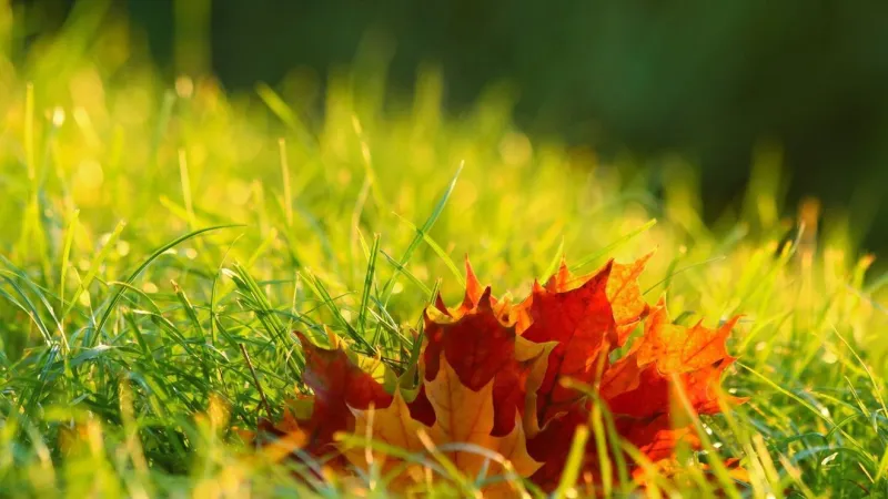 Sunny and unseasonably warm until the weekend