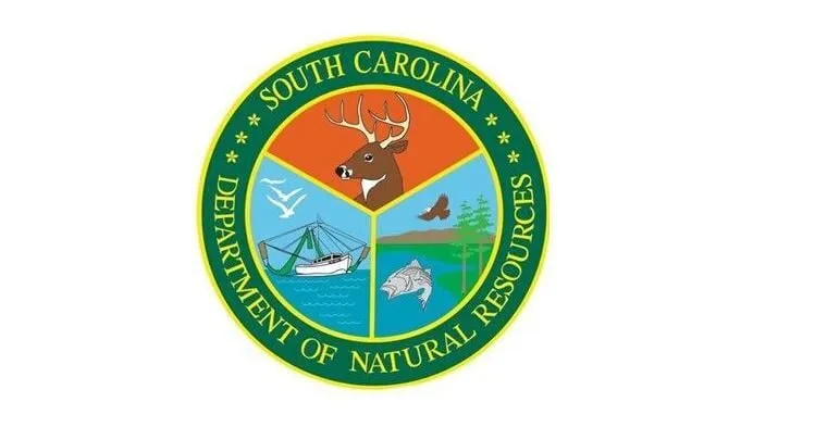 Hunter was targeting deer when he accidentally shot pet donkey, SC officials say