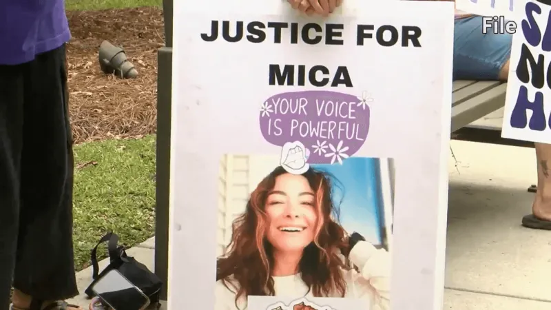 South Carolina State Senator plans to reintroduce Mica's Law for approval