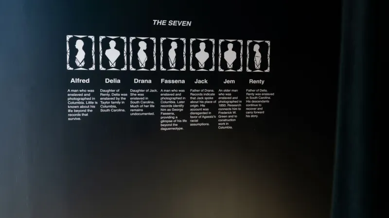 'They Lived' exhibit highlights the lives of seven enslaved people in 1800s photographs