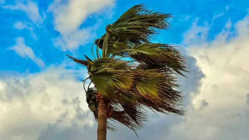 Strong cold front brings windy conditions, much cooler temperatures this weekend