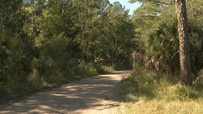 Mount Pleasant approves $28.5 million deal to preserve Wando River land