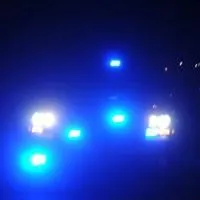 Honda side-by-side stolen in Eutawville