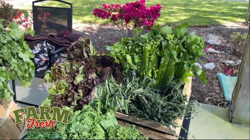 Get to Know Harmony Hill Farms -- A Vendor Found at Area Farmers Markets